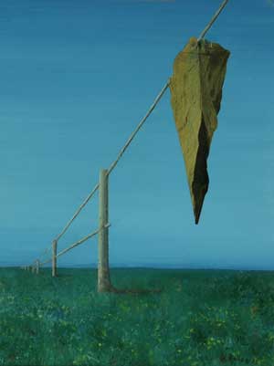 Gravity Proof Fence