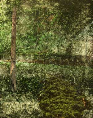 In the Woods