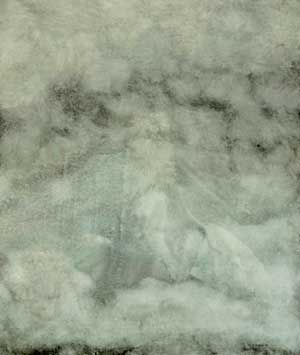 The Death of Virgil
