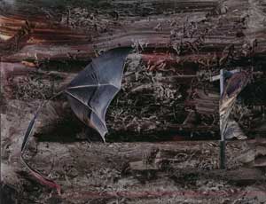 Click to enlarge
