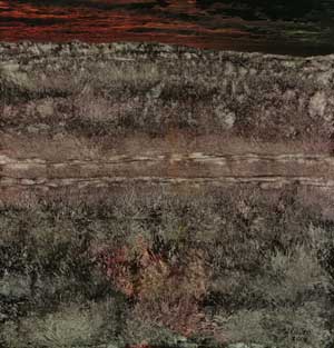 Click to enlarge