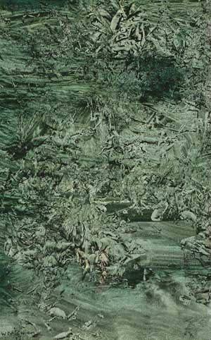 Click to enlarge